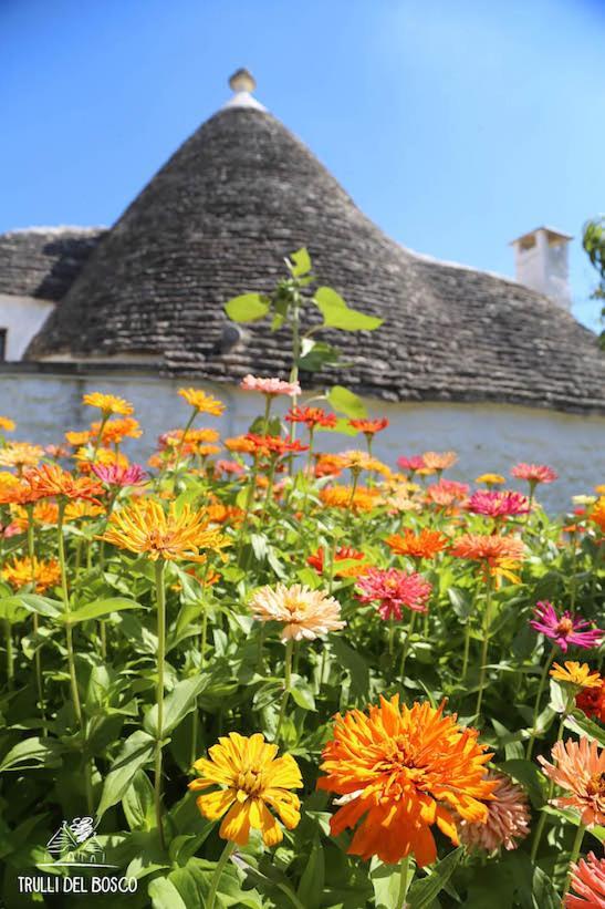 Bed and Breakfast Trulli Del Bosco Alberobello Exterior foto